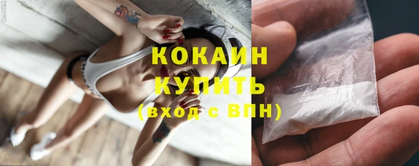 2c-b Горно-Алтайск