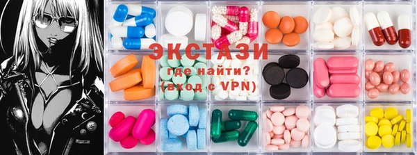 индика Горнозаводск
