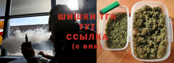 винт Гусев