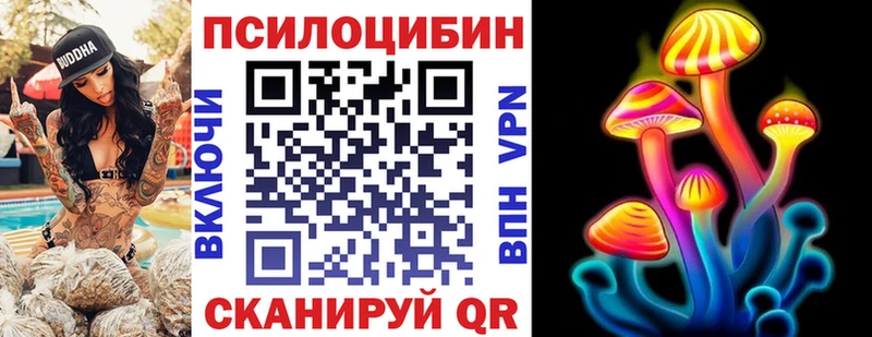Галлюциногенные грибы Cubensis  купить  цена  Братск 